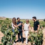 From Madrid: Ribera Del Duero Winery And Segovia Tour Tour Overview