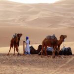 From Marrakech 3 Days 2 Nights Desert Trip To Merzouga Dunes Accommodations And Meals