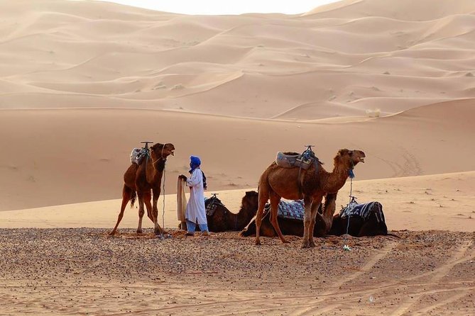 From Marrakech 3 Days 2 Nights Desert Trip to Merzouga Dunes - Accommodations and Meals