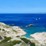 From Marseille: Half Day Sailing Trip In Frioul Calanques Scenic Coastal Adventure