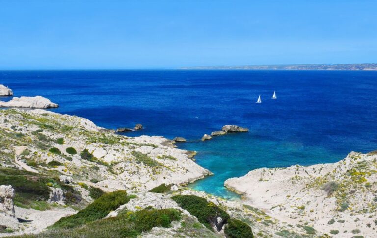 From Marseille: Half Day Sailing Trip In Frioul Calanques Scenic Coastal Adventure