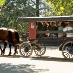 From New York City: Philadelphia And Amish Country Day Trip Tour Overview