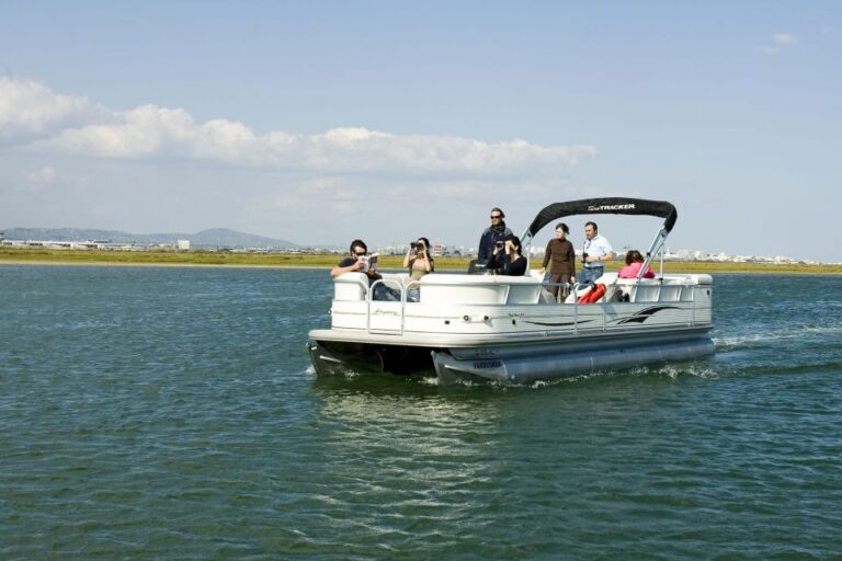 From Olhão: Ria Formosa & Culatra Island 3.5 Hour Boat Trip Duration And Price