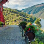 From Porto: Full Day Douro Valley Wine Tour Tour Overview