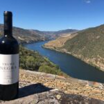 From Porto: Private Douro Valley Tour And Boat Cruise Tour Overview