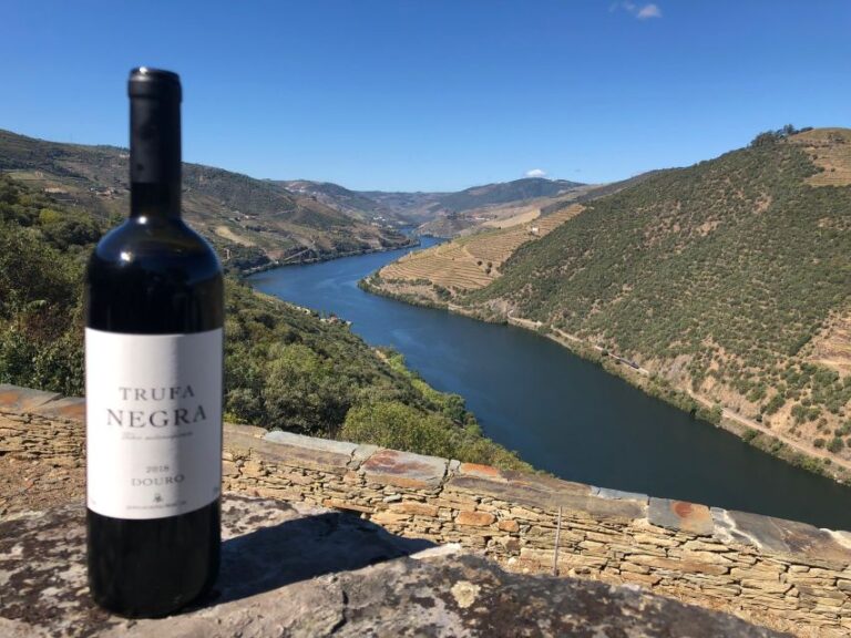 From Porto: Private Douro Valley Tour And Boat Cruise Tour Overview