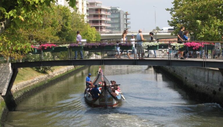 From Porto: Private Sightseeing Tour Of Aveiro Tour Details