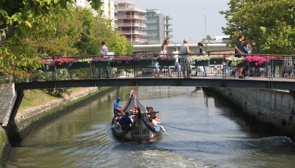 From Porto: Private Sightseeing Tour of Aveiro - Tour Details