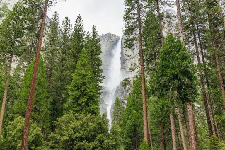 From San Francisco: Yosemite National Park Guided Day Trip Itinerary Overview