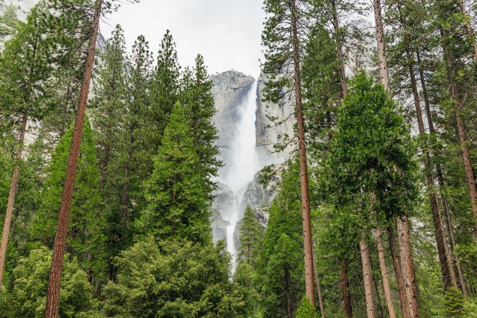 From San Francisco: Yosemite National Park Guided Day Trip - Itinerary Overview