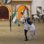 From Seville: Jerez, Cádiz And Andalusian Horses Tour Overview And Pricing