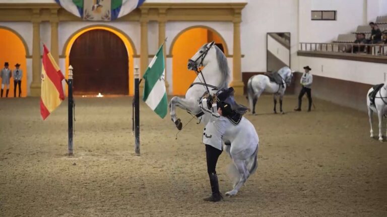 From Seville: Jerez, Cádiz And Andalusian Horses Tour Overview And Pricing