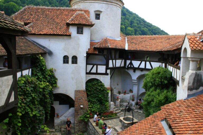 From Sibiu: Day Tour To Brasov And Draculas Castle Tour Overview