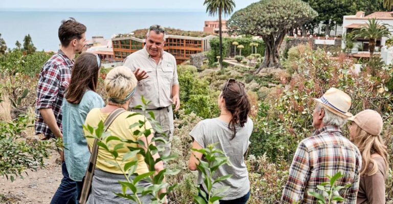 From South Tenerife: Vip Grand Tour Tenerife Island Overview Of The Vip Grand Tour