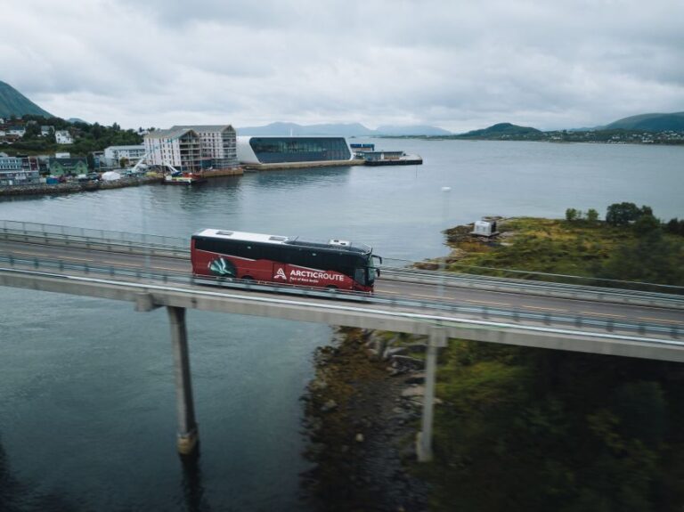 From Svolvaer: Whale Watching Day Trip To Andenes Tour Details