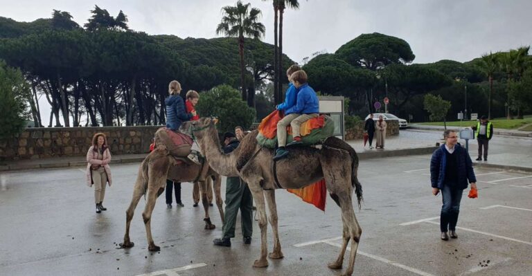 From Tarifa: Tangier Day Tour With Bazaar Shopping And Lunch Tour Overview And Details