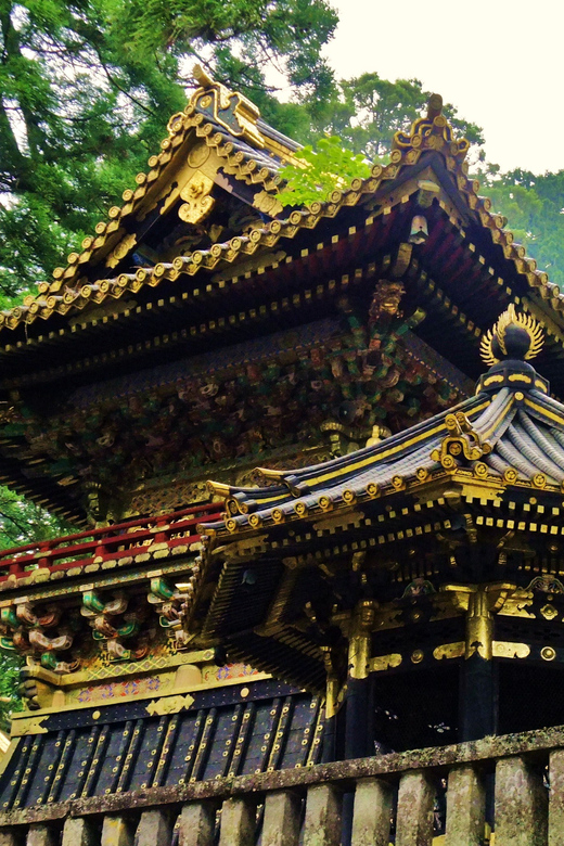 From Tokyo: 1 Day Private Tour to Nikko World Heritage Sites - Tour Overview