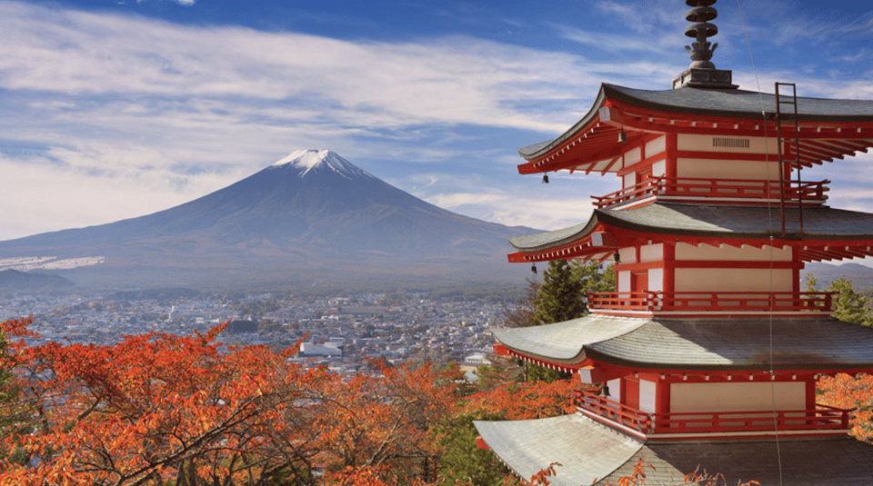 From Tokyo Custom Mt.Fuji Tour With the Private Van - Tour Overview and Pricing