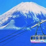 From Tokyo/hakone/fuji: Hakone & Mt. Fuji Day Trip W/pickup Trip Overview