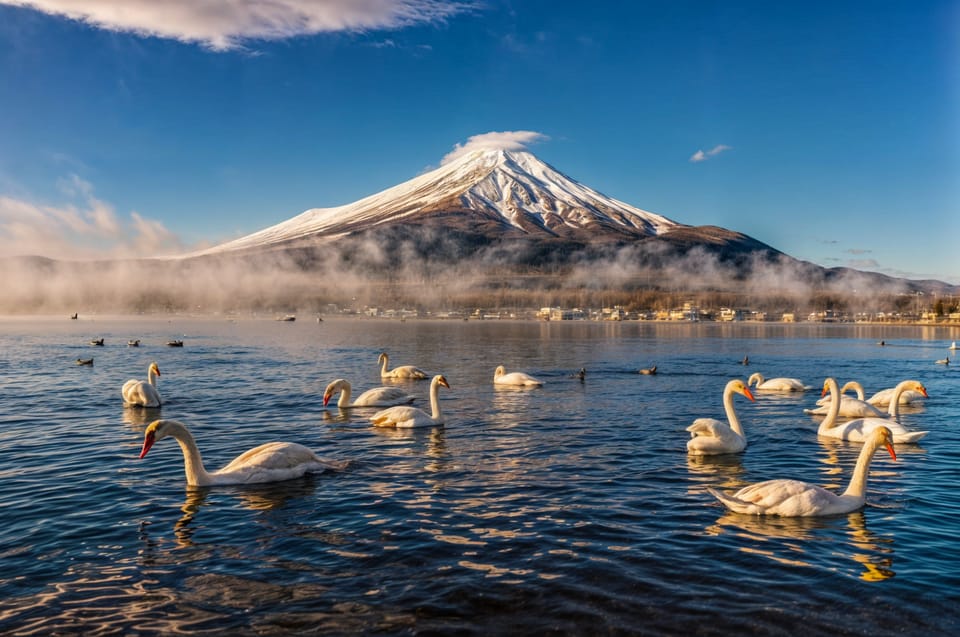 From Tokyo: Mount Fuji and Hakone Full Day Trip - Itinerary B: The Serenity of Hakone