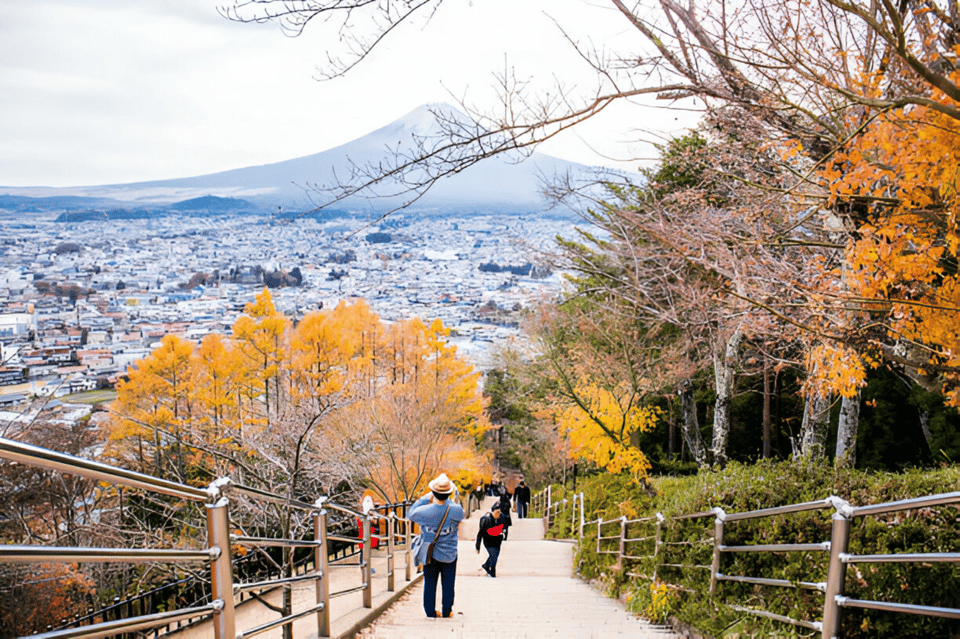 From Tokyo: Mount Fuji and Hakone Full Day Trip - Itinerary A: A Glimpse of Fujis Majesty