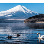 From Tokyo: Mount Fuji Day Trip By English Speaking Driver Tour Overview And Pricing