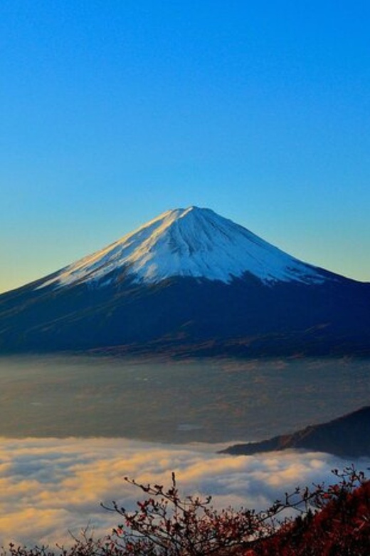 From Tokyo: Mount Fuji Day Trip By English Speaking Driver - Group Size and Customization