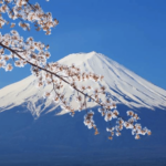 From Tokyo: Mount Fuji Full Day Private Customized Tour Tour Overview And Pricing