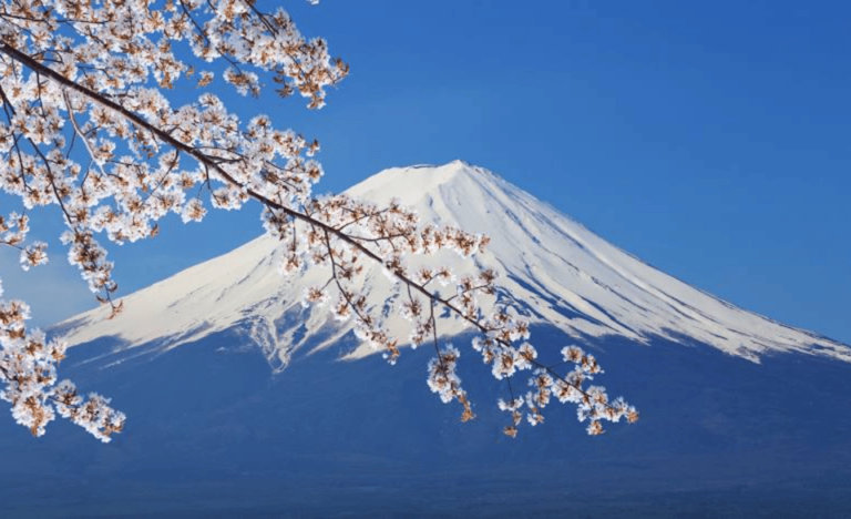 From Tokyo: Mount Fuji Full Day Private Customized Tour Tour Overview And Pricing