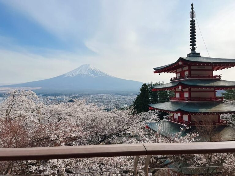 From Tokyo: Mt. Fuji Private Car Day Trip With Guide Trip Overview And Pricing