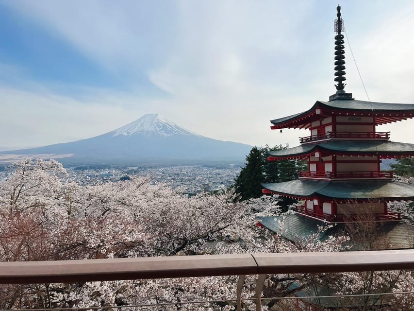 From Tokyo: Mt. Fuji Private Car Day Trip With Guide - Trip Overview and Pricing