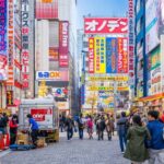 From Tokyo: Private Customized Day Tour With Driver Tour Overview And Pricing