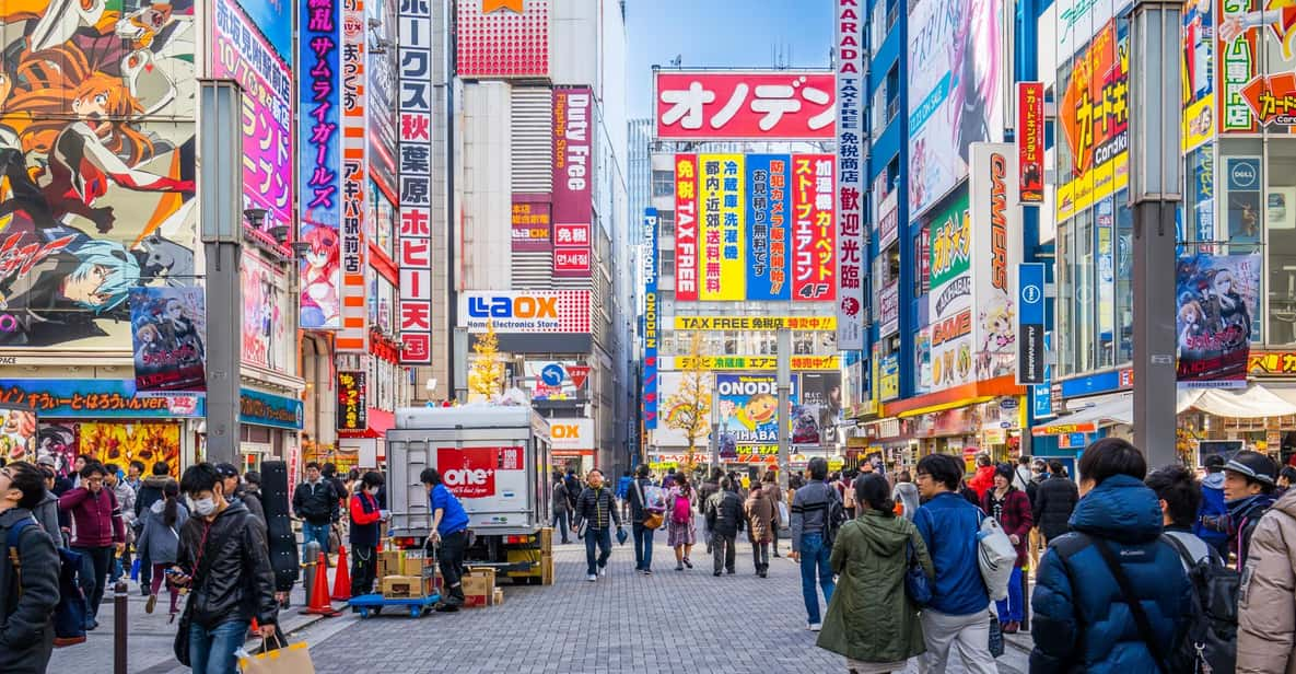 From Tokyo: Private Customized Day Tour With Driver - Tour Overview and Pricing