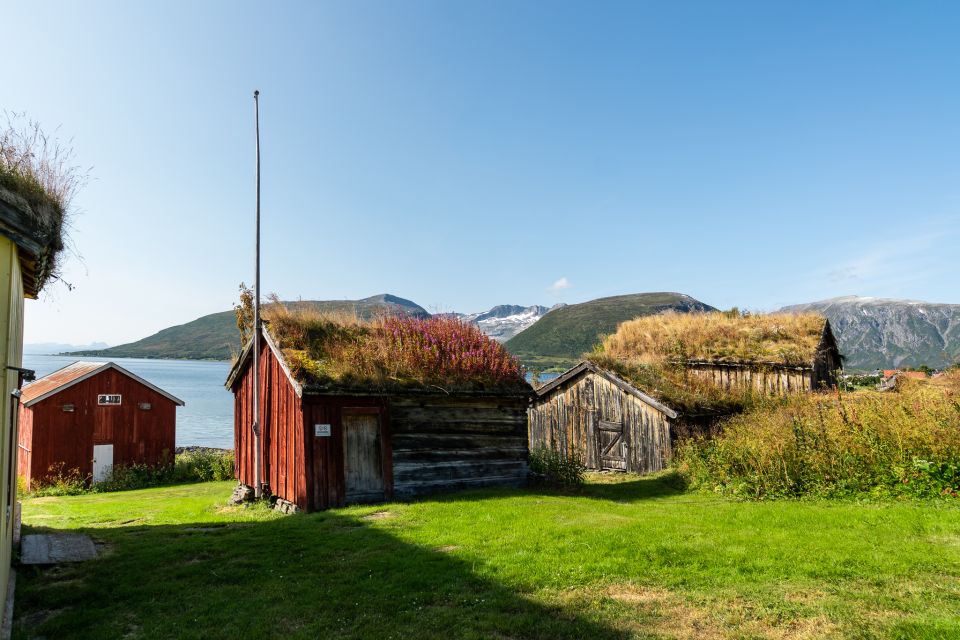 From Tromsø: Kvaløya and Sommarøy Scenic Fjord Day Trip - Tour Overview