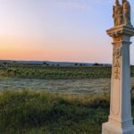 From Vienna: Burgenland Bike And Wine Tasting Tour Tour Overview And Pricing