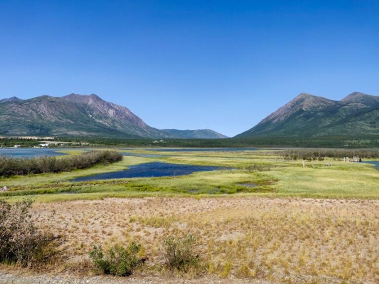 From Whitehorse: Skagway Day Trip Tour Overview