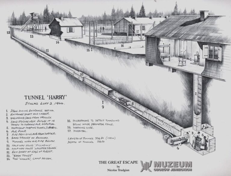 From Wrocław: Stalag Luft Iii Great Escape Tour Tour Overview