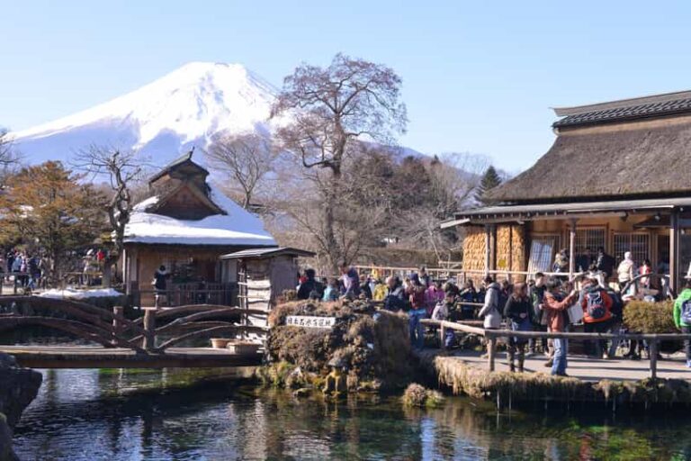 Fuji Sightseeing Tour (with English/japanese Speaking Guide) Tour Overview