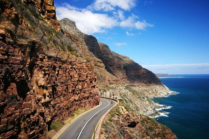 Full-Day Cape Peninsula Tour From Cape Town - Tour Overview