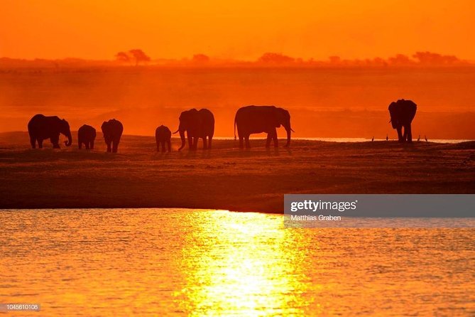 Full Day Chobe National Park Big 5 Safari - Tour Overview