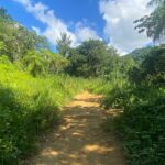 Full Day El Yunque Rainforest Adventure From Carolina Tour Overview