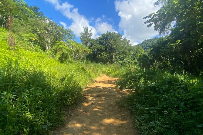 Full-Day El Yunque Rainforest Adventure From Carolina - Tour Overview