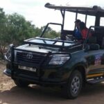 Full Day Kruger National Park Safari Tour Overview