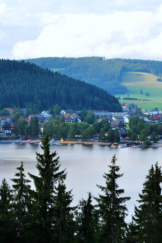 Full-Day Tour From Zurich to Lake Titisee Black Forest - Highlights of the Black Forest