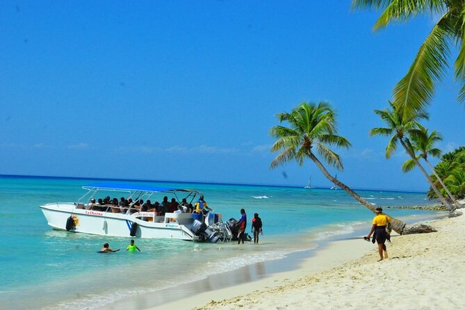 Full-Day Tour To Saona Island From Punta Cana All Included - Tour Overview