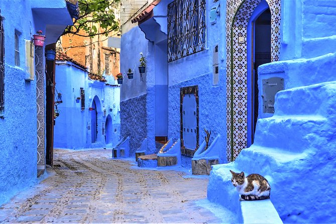 Full-Day Trip to Chefchaouen From Tangier - Exploring the Blue-Painted Medina