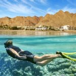 Full Relaxing Day To The Red Sea From Cairo Or Giza Hotel Tour Overview