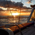 Funchal: Dolphin And Whale Watching Sunset Sailing Tour Tour Overview