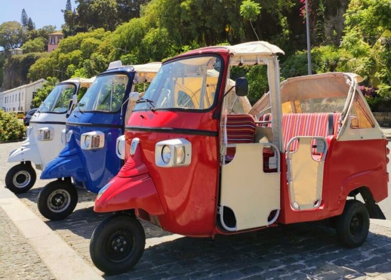 Funchal: Guided City Tuk Tuk Tour Tour Overview And Details