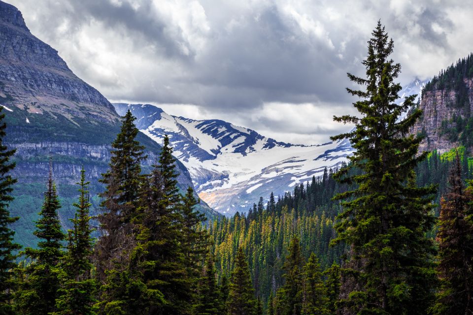 Glacier National Park: Self-Guided Driving Tour - Tour Overview and Pricing